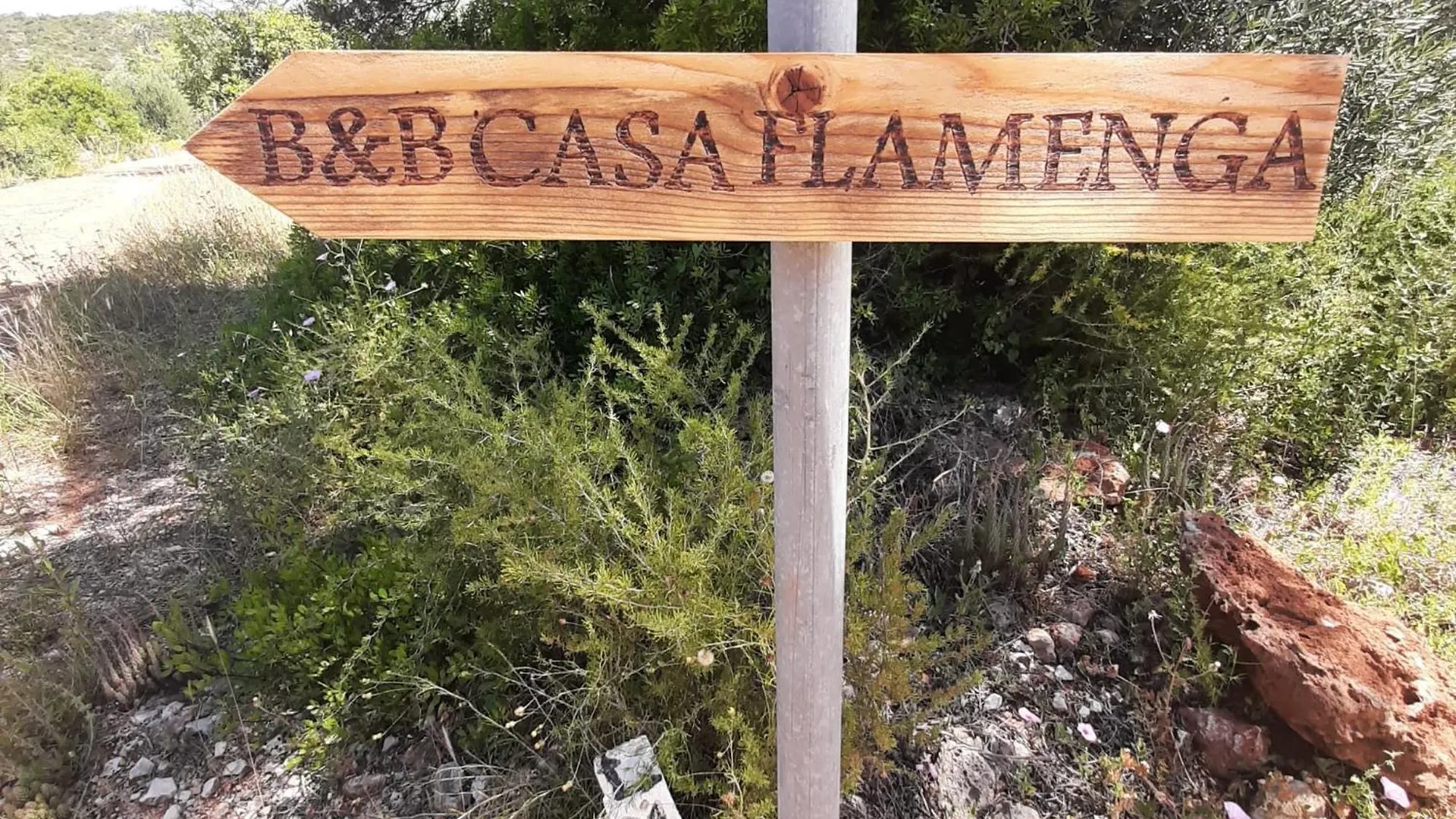 Bed & Breakfast B&B Casa Flamenga Alte