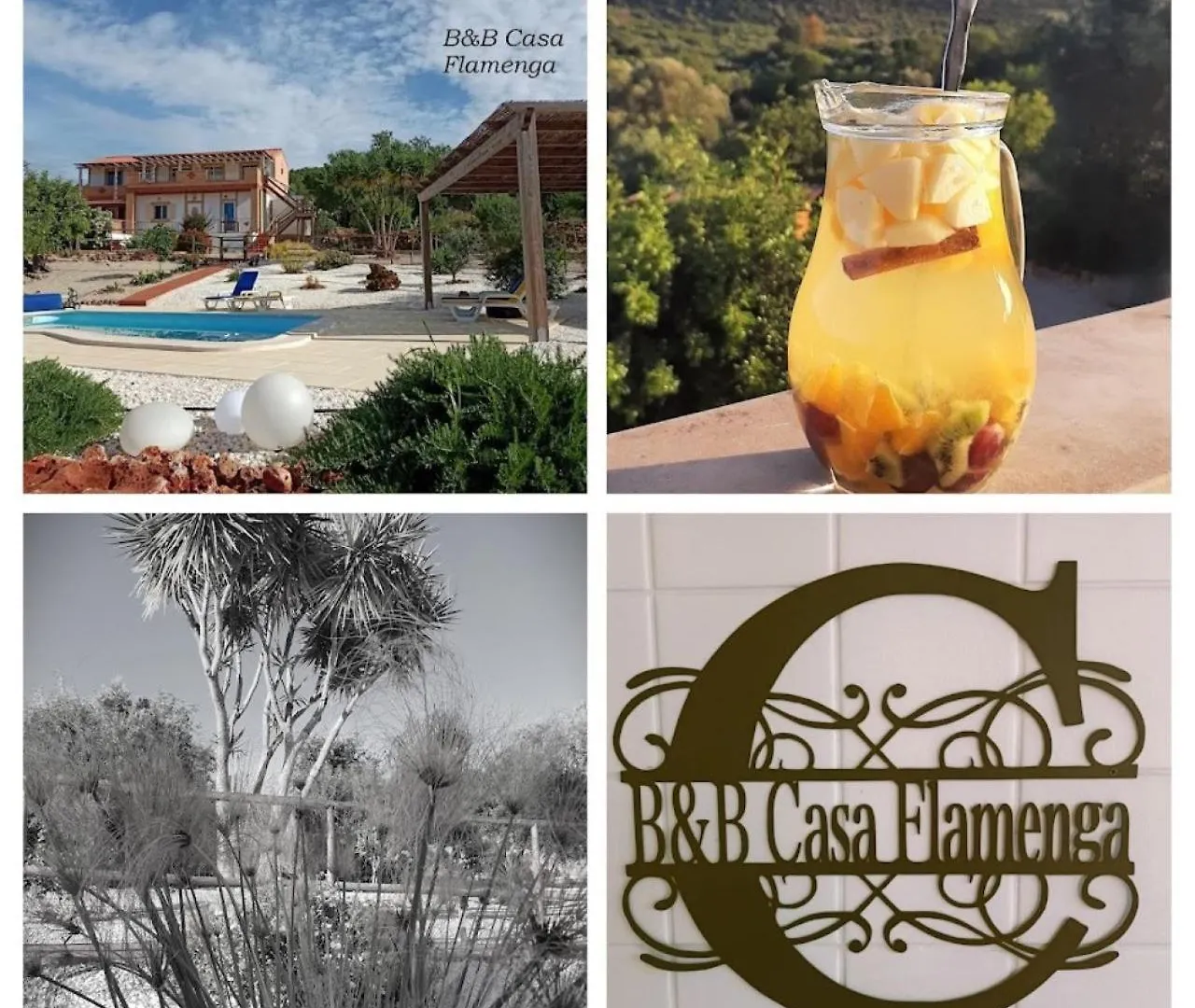 B&B Casa Flamenga contacts
